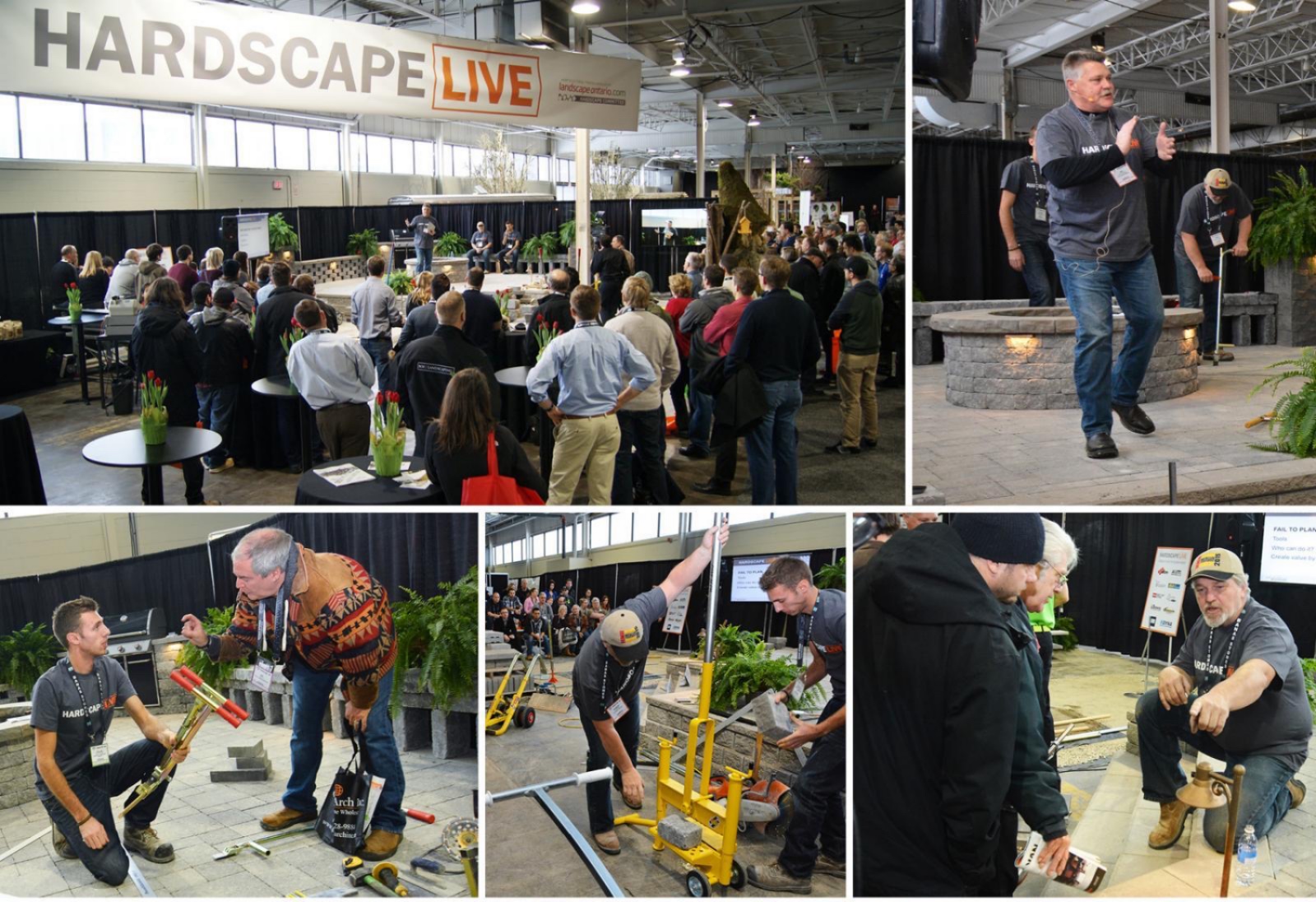 Hardscape LIVE