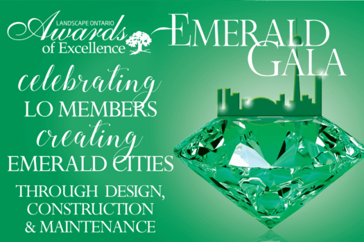 2020 awards of excellence web header large