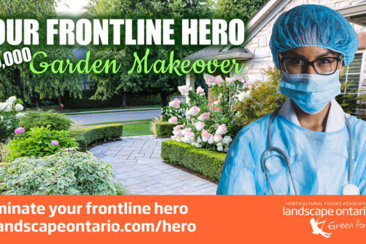 Garden Makeover with grand total