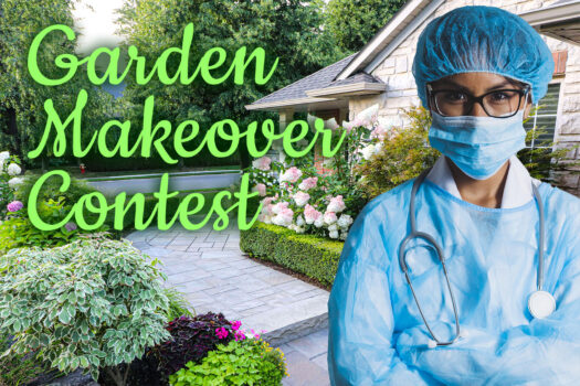 garden makeover contest tout