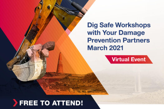 2021 dig safe workshops profile image