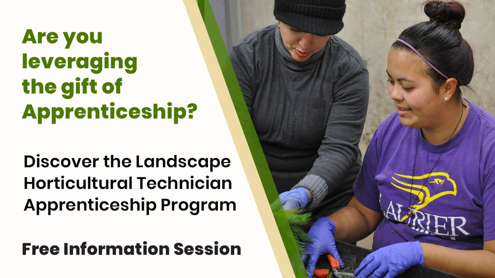 app-oct-26-info-session1