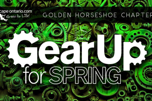 GH Gear up web banner 1200×628.jpg