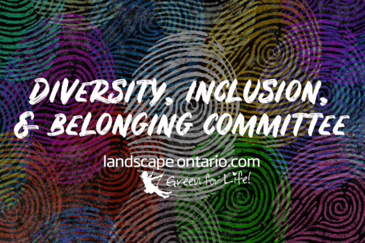 diversity inclusion and belonging committee-tout-800.png