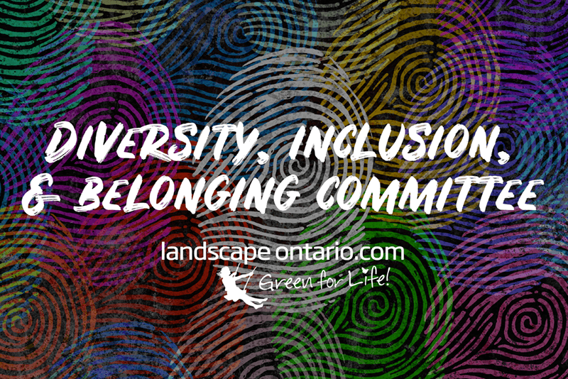 diversity inclusion and belonging committee-tout-800.png