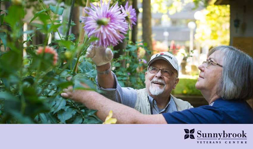 Sunnybrook email header-850px.jpg