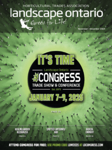 November-December 2024