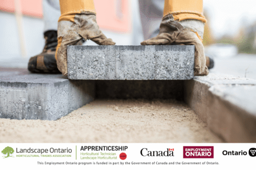 CMHA course march 2025.png