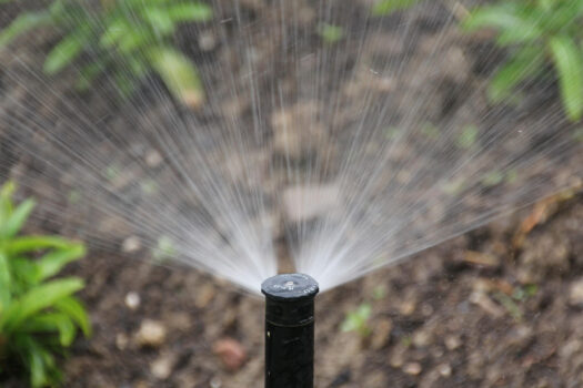 irrigation