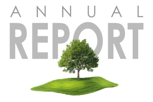 2022 Annual Report Cover-web.png
