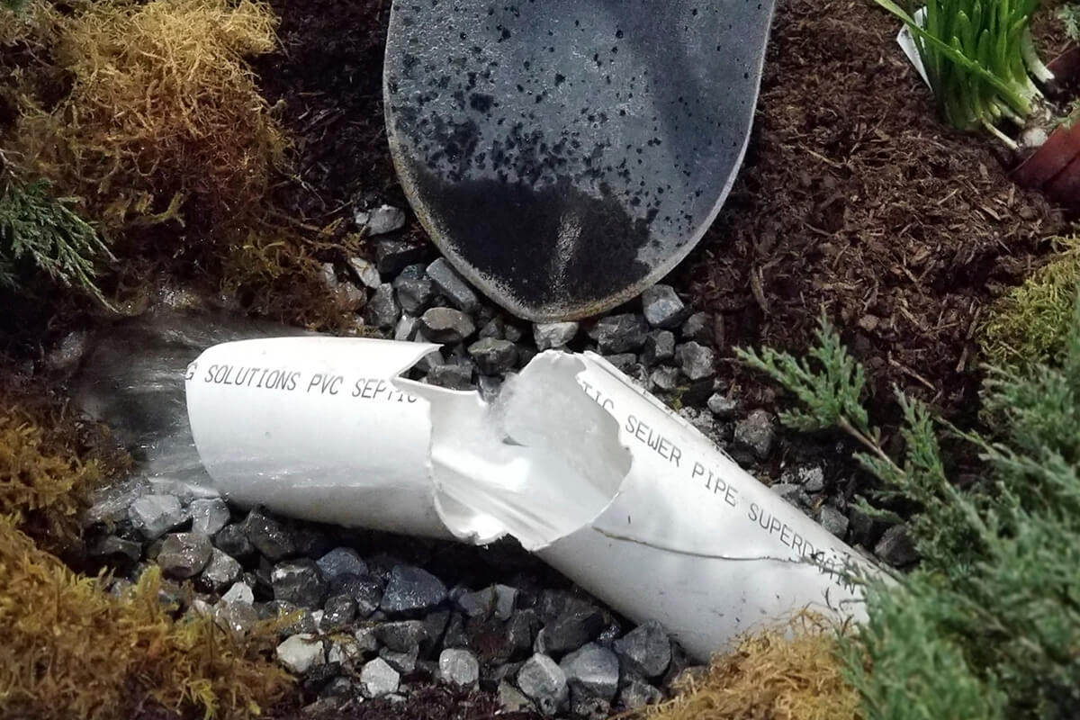 dig safe display-web