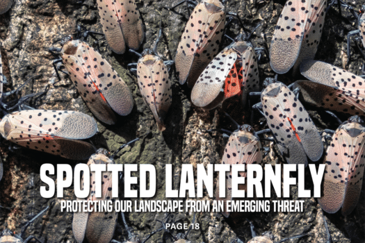 LO mag cover sept-oct 2025.png