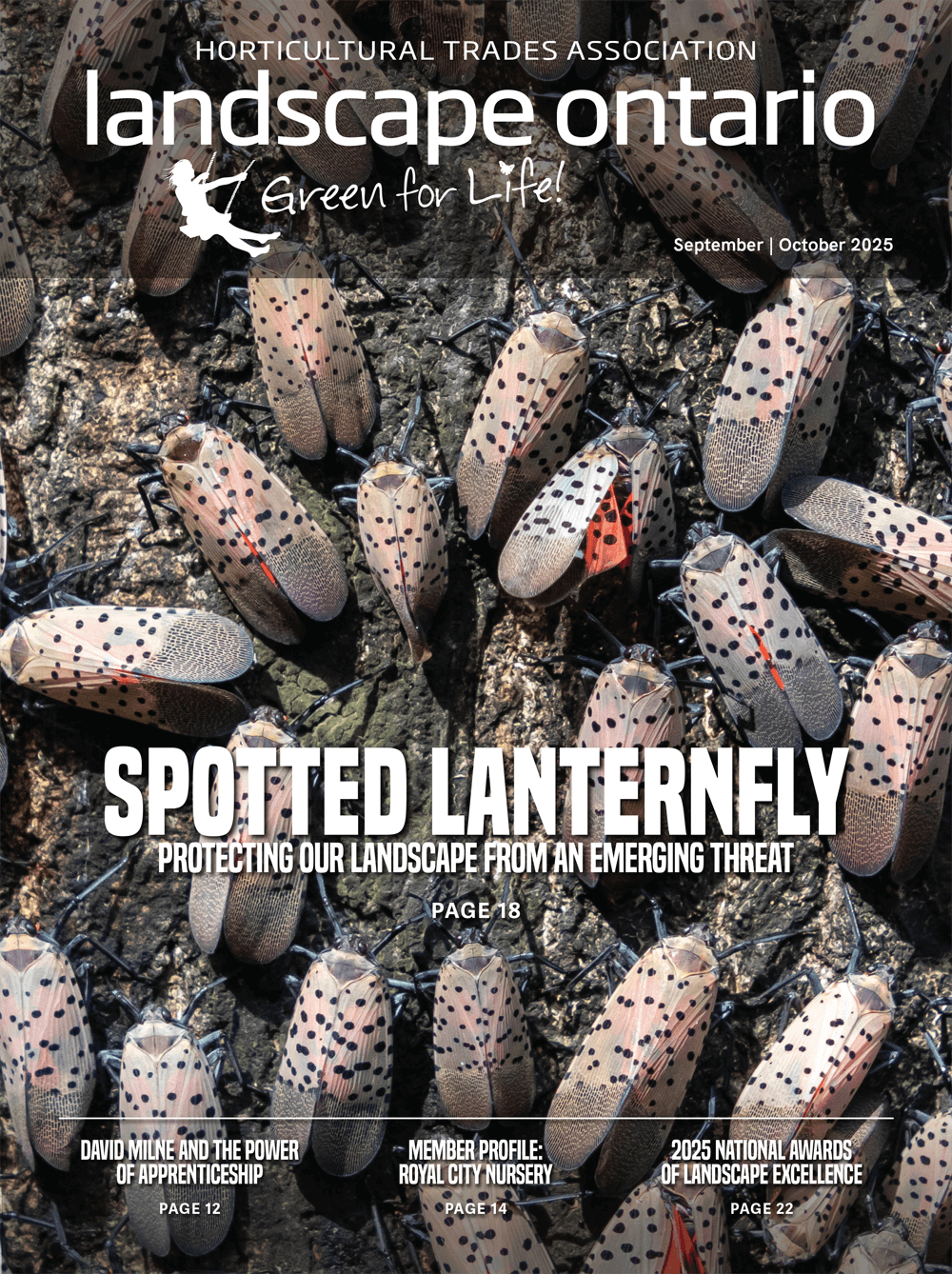 LO mag cover sept-oct 2025.png