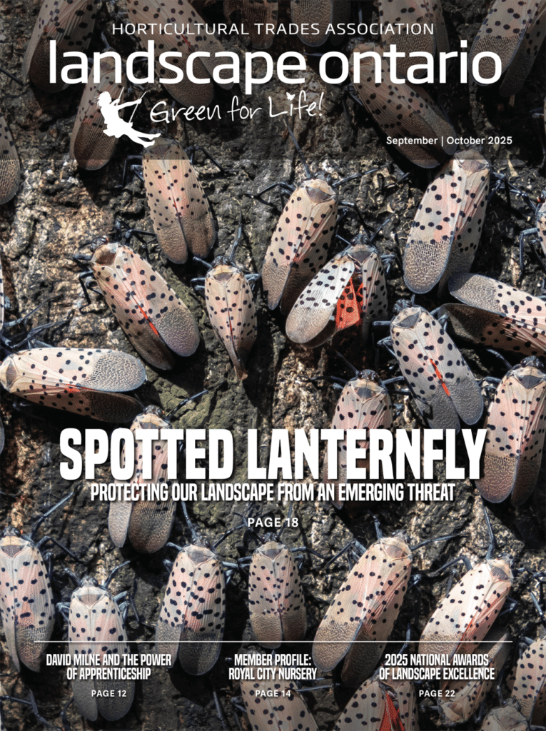 LO_Mag_September_2025-cover-web