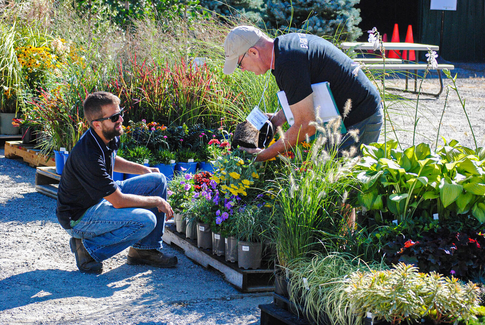 two judges evaluating a skid of plant material