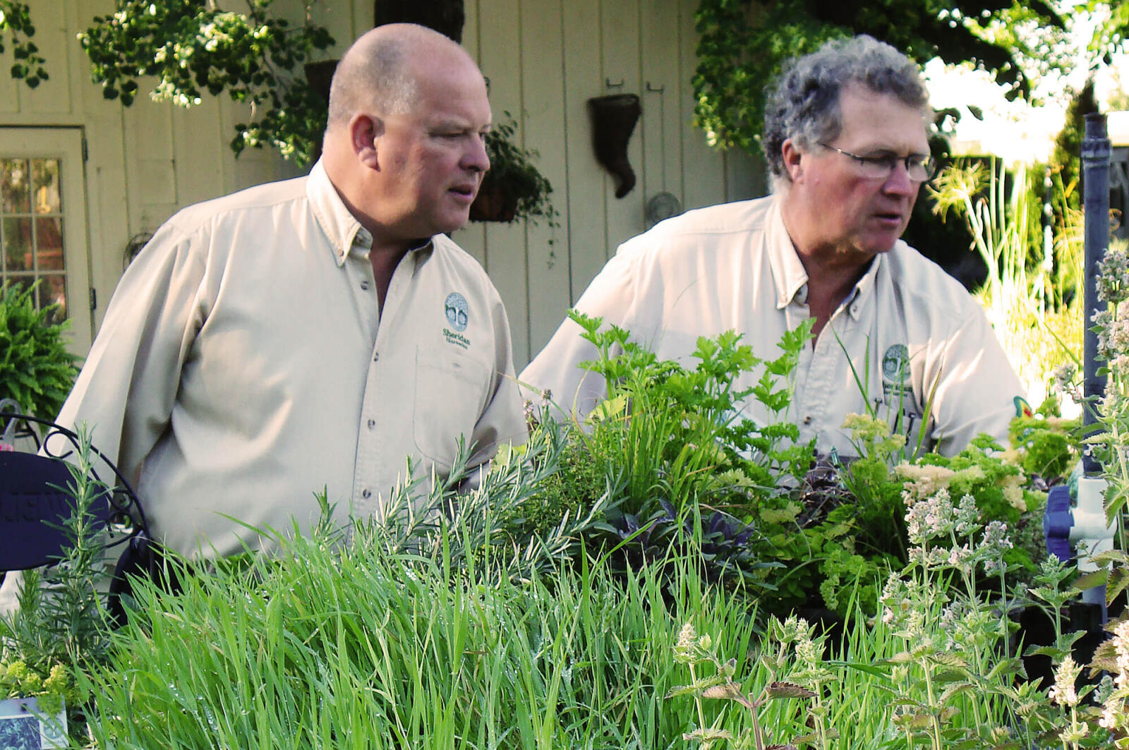 1590324325.karl_at_work-web