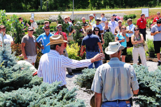 1590324519.auction_2011-web