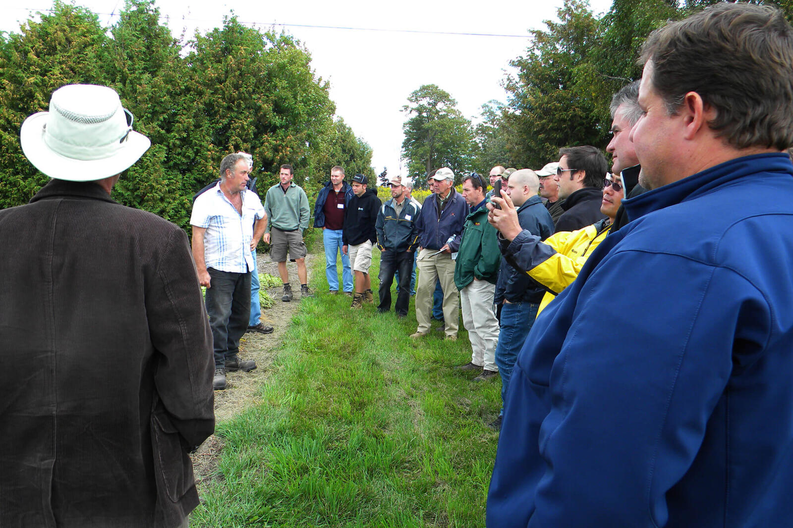 people standing in a tree nursery