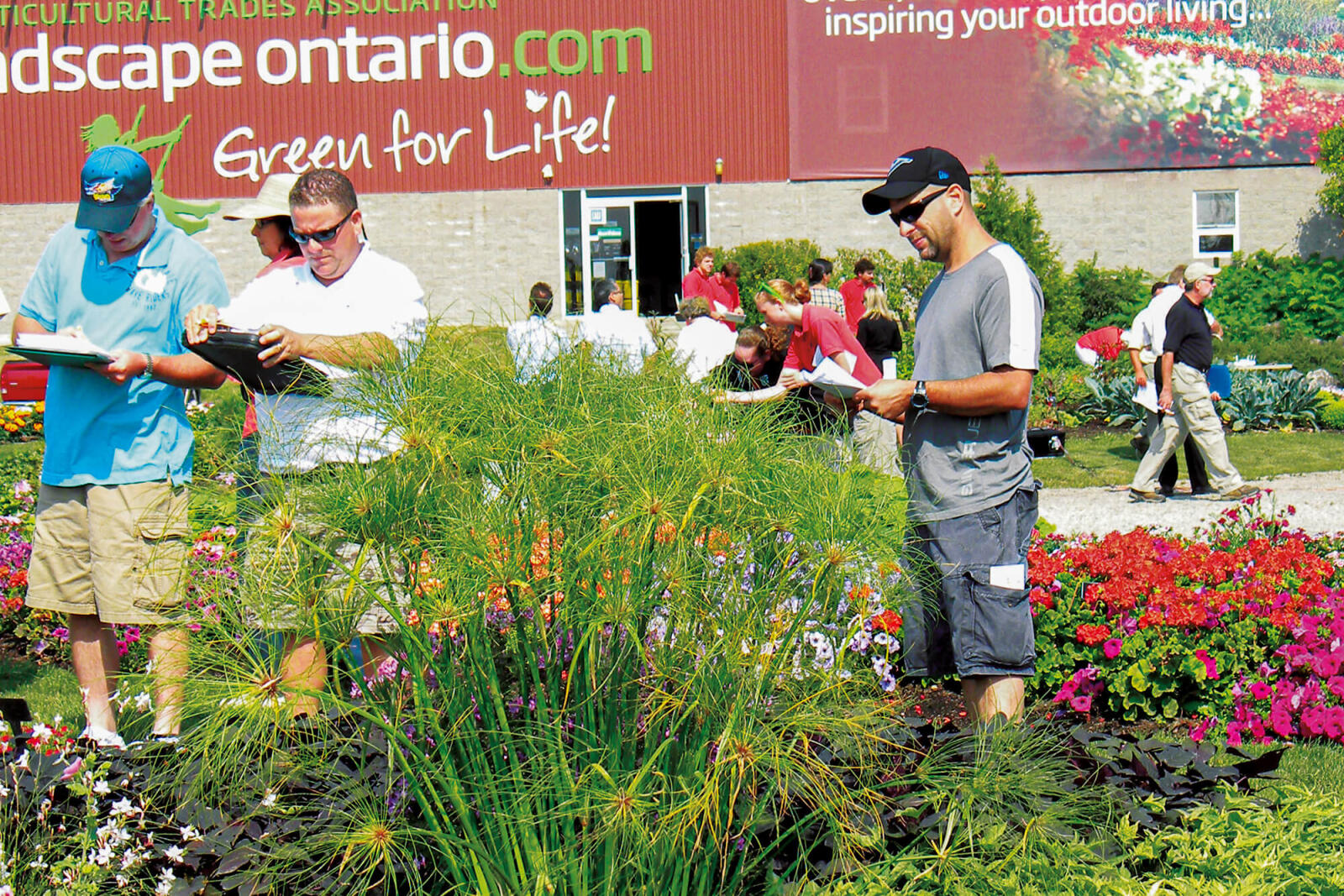 1593262069.Trial_Gardens_2010_050-wide-web