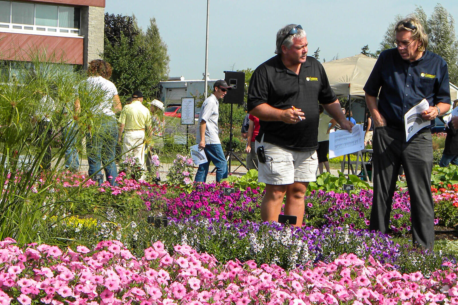 two men in conversation in front of a large bed pink petunia flowers