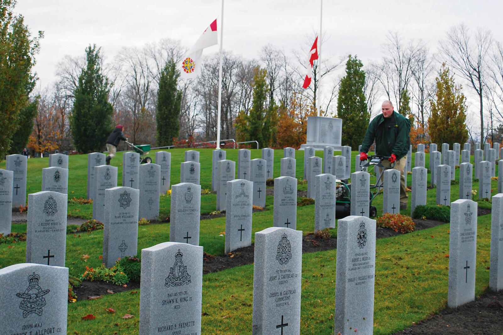 man pushing an aerator along a row between headstones