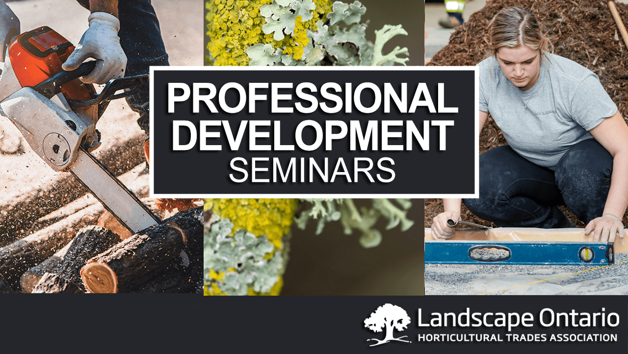 Professional Development Seminars